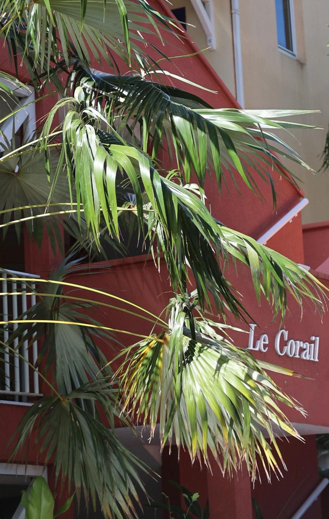 르 고지에 Le Coco 아파트 외부 사진